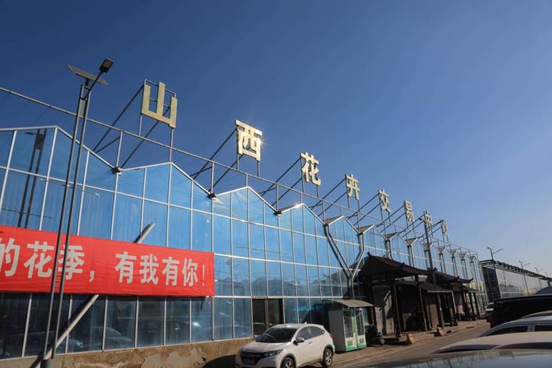 太原梅红经销部：行业风向标下的新兴力量